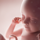 Image for article titled 8-And-A-Half-Month-Old Fetus Could Really Get Used To This